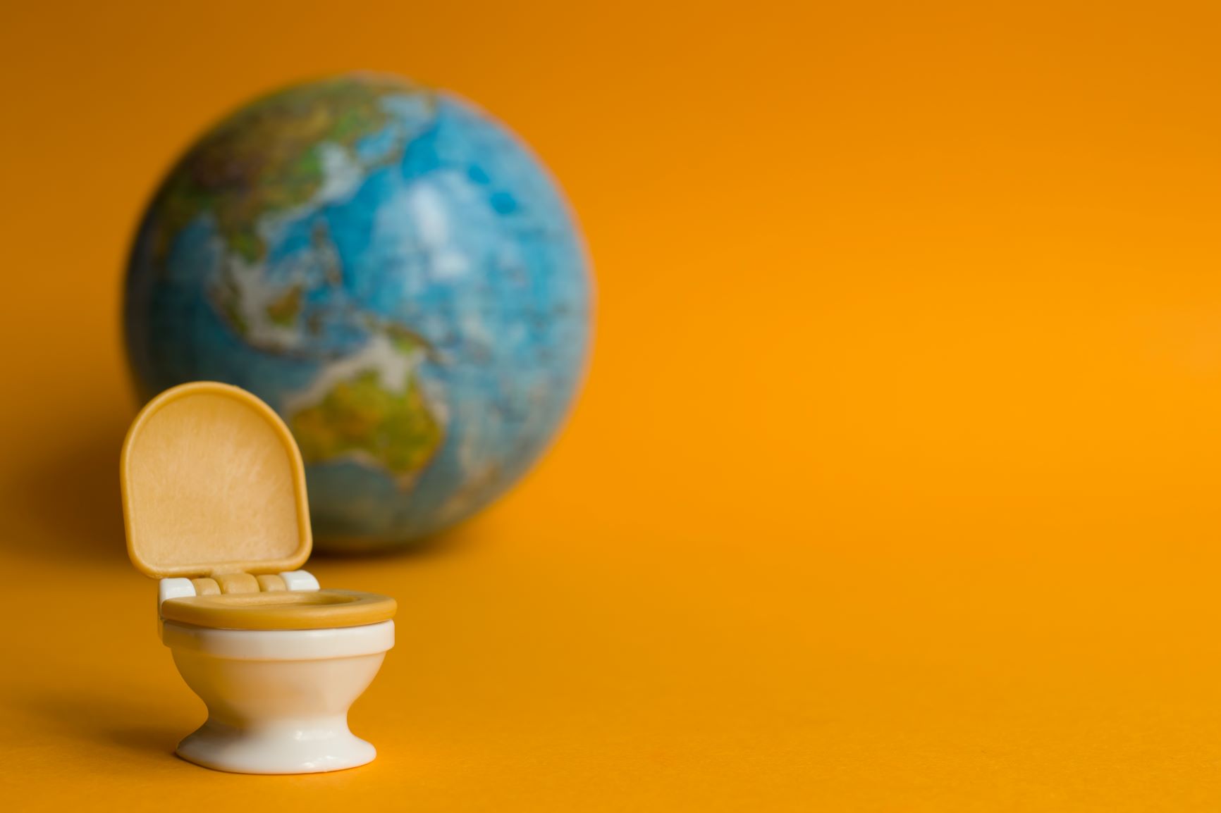 How DOO you Doo?: Poopin' All Over the World