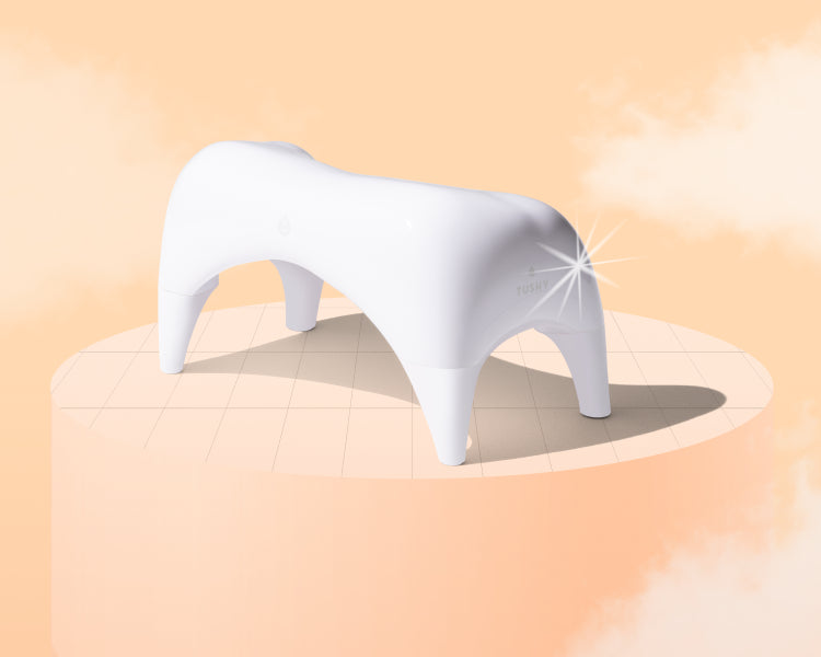 TUSHY Ottoman