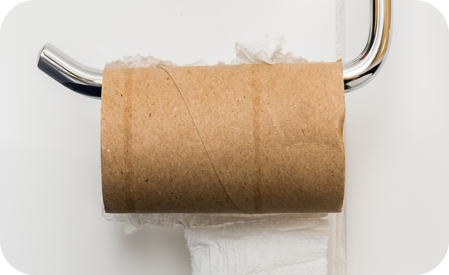 Close up of a cardboard toilet roll tube with a few scraps of toilet paper clinging to the back