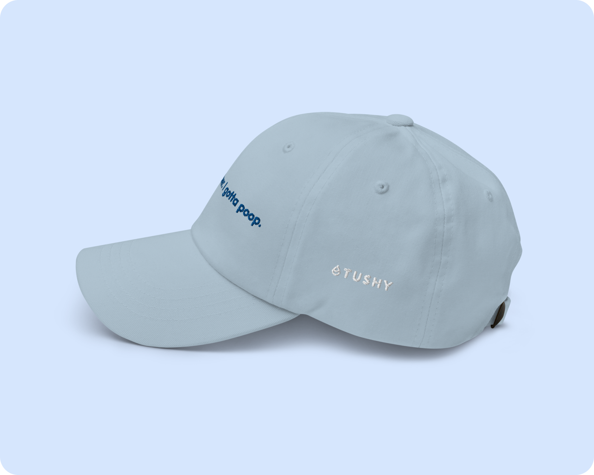 Dad Hat: TUSHY X Narragansett Beer Merch TUSHY