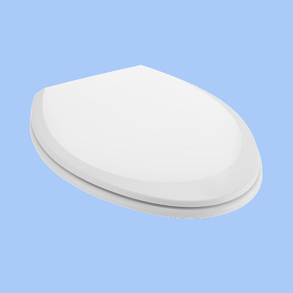 White toilet seat on a light blue background