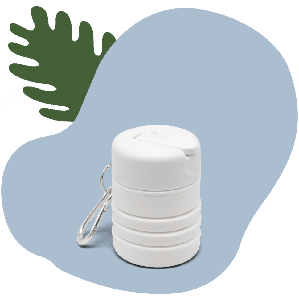 TUSHY Travel Offer TUSHY