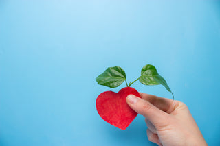 Spread The Love With These Conscious Valentine’s Day Gifts
