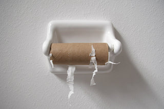 Why Toilet Paper is Bad for the Environment 