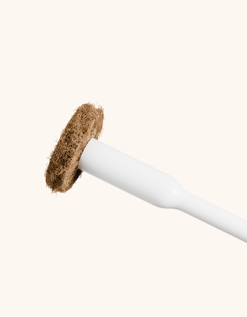 Close up of the coconut husk scrubbing pad attached to a tushy toilet brush, on a white background