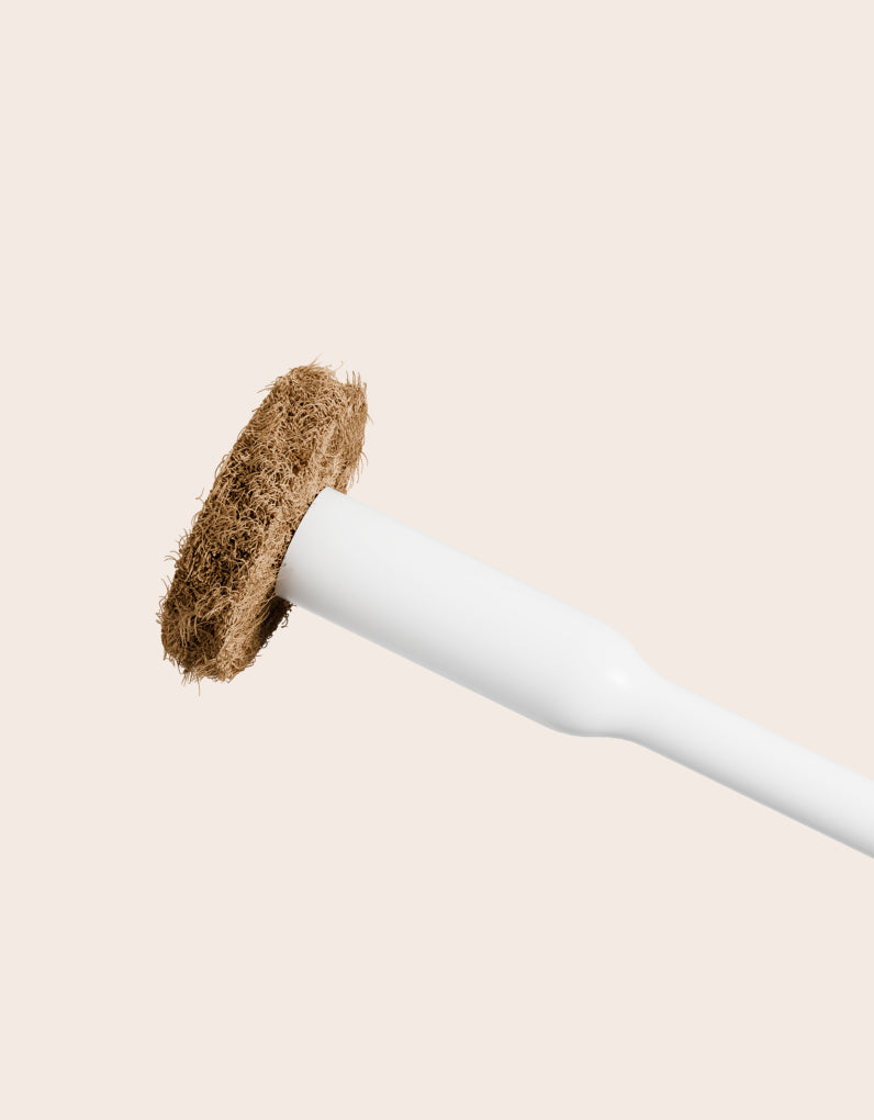 Close up of a coconut husk scrubbing pad on a tushy toilet brush