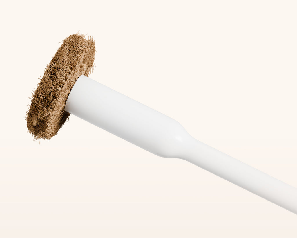 Close up of a coconut husk scrubbing pad on a tushy toilet brush