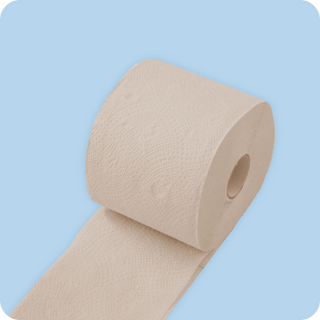Premium Bamboo Toilet Paper 8 Rolls Toilet Paper TUSHY