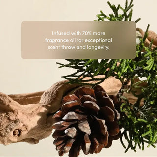 Pine cone and greenery with text infused with 70% more fragrance oil for exceptional scent throw and longevity, on a beige background