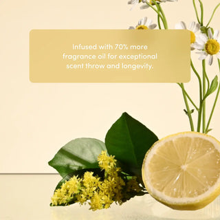 Lemon and flowers with text "infused with 70% more fragrance oil for exceptional scent throw and longevity" on a light background