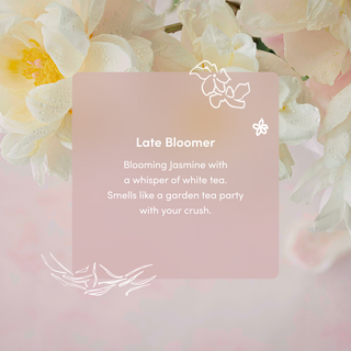 Floral background with a pink card featuring text about a fragrance named 'Late Bloomer'. A grounding base note of patchouli with an energizing top note of citron peel. Smells like inbox zero and nine am. 