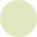 Green scrubbing pad with a textured surface for cleaning purposes.