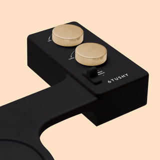 Black control panel with two gold knobs and a switch, labeled for temperature and spray angle adjustments.