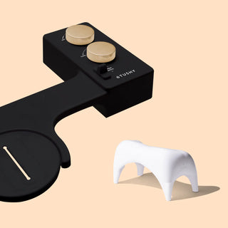 Black bidet attachment with two gold knobs and a white footstool beside it.