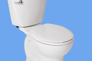 Animation of someone removing a toilet seat, adding a Tushy bidet attachment, replacing the toilet seat and turning on the water. 