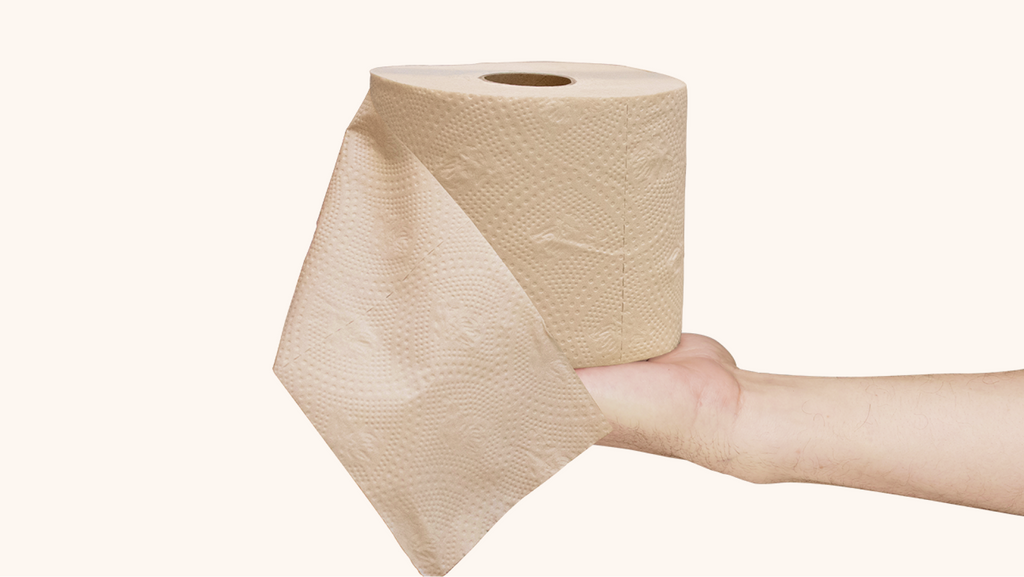 Bamboo Toilet Paper in Bulk & Wholesale by Cloud Paper
