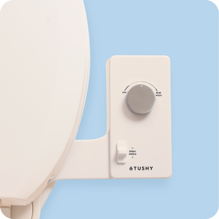 Tushy Classic 3.0 Biscuit/Platinum - a classic affordable bidet attachment by TUSHY