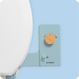 Tushy Classic 3.0 Blue/Bamboo - a classic affordable bidet attachment by TUSHY