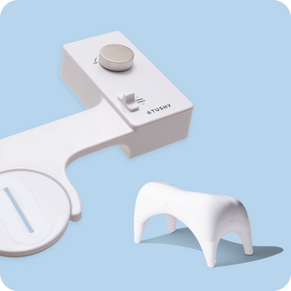White with Platinum Bundle Knob