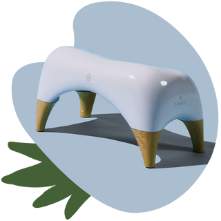 TUSHY Ottoman Offer TUSHY