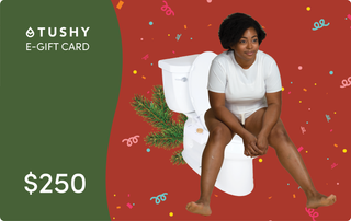 E-gift card featuring a woman sitting on a toilet with festive decorations and the text "$250" on a green background.