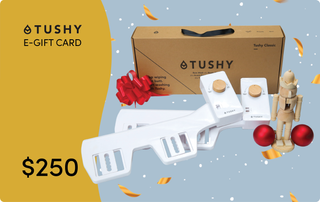 E-gift card for TUSHY products, featuring a $250 value, with a white bidet attachment and a decorative box.