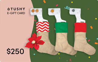 E-gift card design featuring three festive stockings and a $250 value on a colorful background.