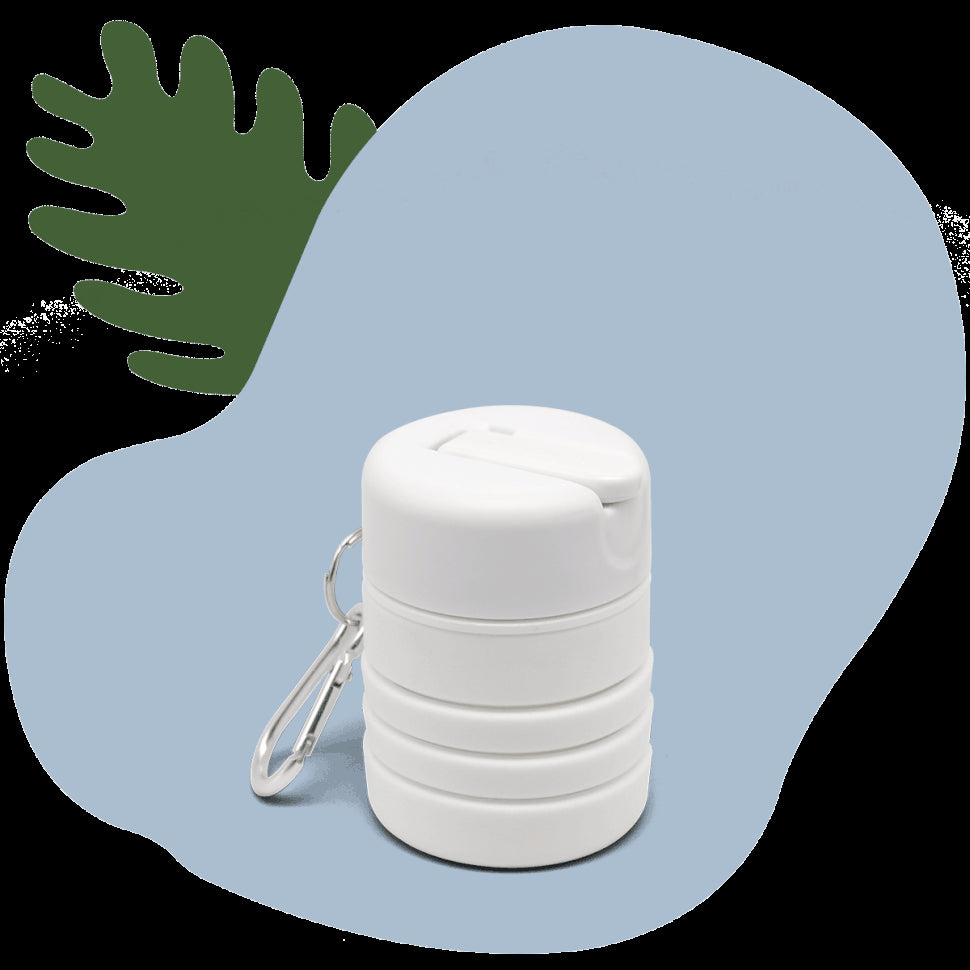 TUSHY Travel Offer TUSHY